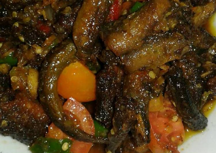 Belut rica favorit paksu