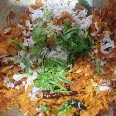 A picture of Carrot vangibath.