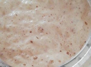Una foto de Prefermento o poolish una masa madre rápida