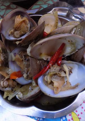 Una foto de Almejas, mejillones al disco