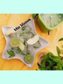 عکسی از دستور یخ نعناع