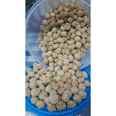 Kue keciprut রেসিপির প্রধান ছবি