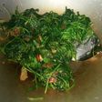 Tumis kangkung