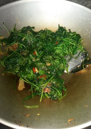 Foto resep Tumis kangkung