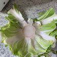 Velouté aux feuilles, tronc et côtes de choux fleur