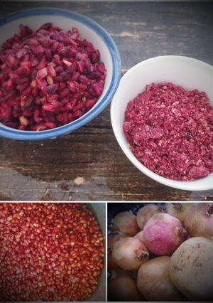 عکسی از دستور اناردون(ناردون)