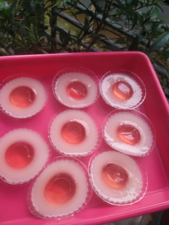 Foto resep Puding Telor Ceplok