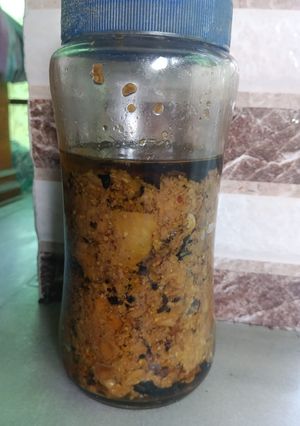 A picture of Raw Mango Pickle.