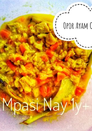 Foto resep Opor Ayam Campur Sari (MPASI 1y+)