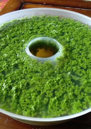 Foto resep Puding Lumut
