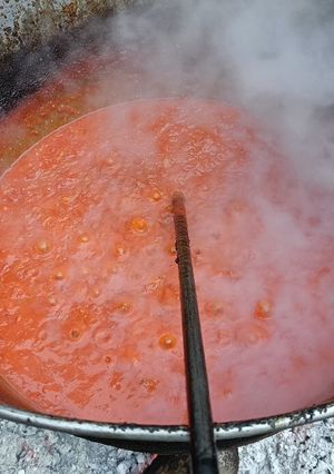Una foto de Tomate frito en la lumbre. Receta de la abuela