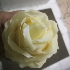 A picture of Melody white chocolate Rose flower.