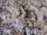 Easy Spinach Dip