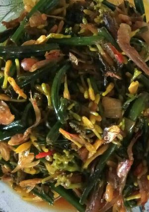 Foto resep Tumis Pakis Bunga Pepaya