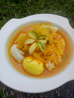Foto resep Lontong sayur (pepaya muda)