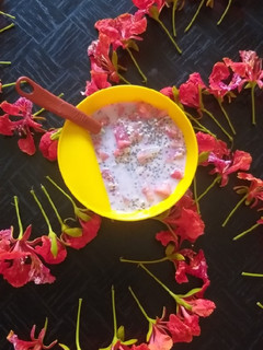 A picture of Watermelon,oats raw soup.