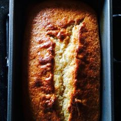 A picture of Sponge Cake.