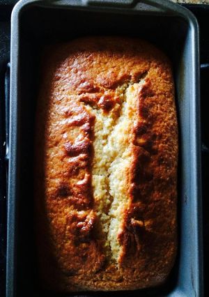 A picture of Sponge Cake.