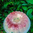 Puding mutiara susu
