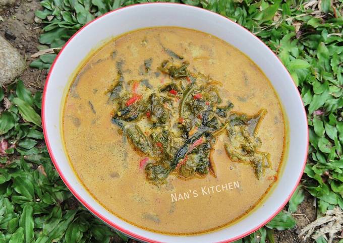 Resep Gulai Pakis Anti Gagal