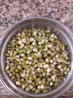 ફણગાવેલા મગ (Sprouted Moong Recipe In Gujarati) રેસીપી મુખ્ય ફોટો