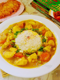 雞肉咖哩(飯) 的食譜成品照片