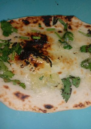 ગાર્લિક નાન(Garlic Naan Recipe In Gujarati) રેસીપી મુખ્ય ફોટો
