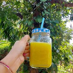 A picture of Mango frooti.