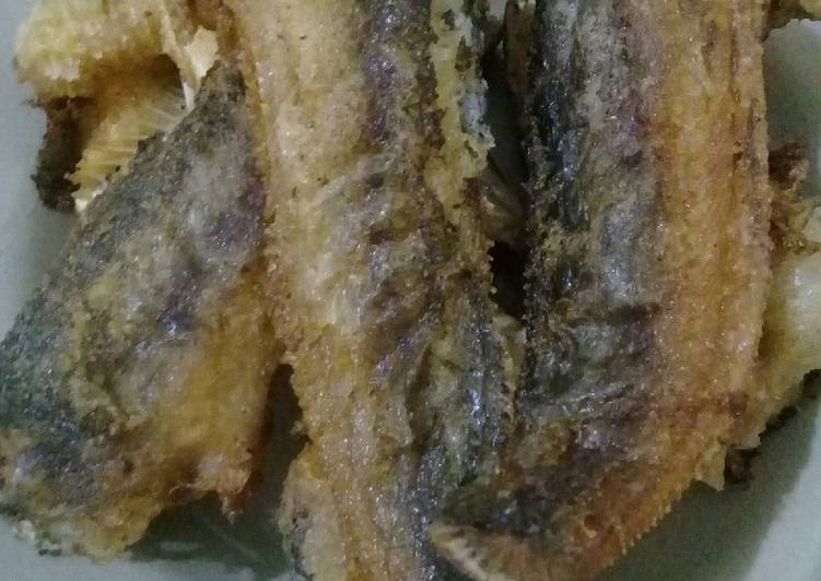Cara Memasak Lele goreng garing farah quinn