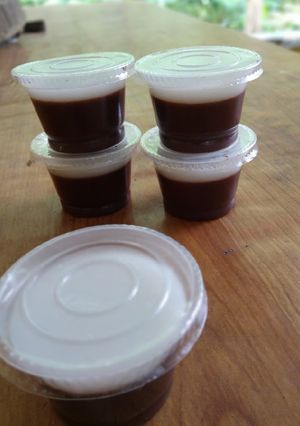 Foto resep Pudding coklat vanilla