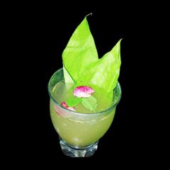 A picture of Paan Mocktail.