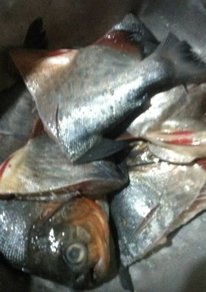 Foto resep Bumbu ikan goreng simple