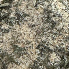 A picture of Ranch Seasoning.