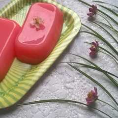 A picture of Puding Sirup Cocopandan Ternyata Lezat Harum dari Aroma Sirup.