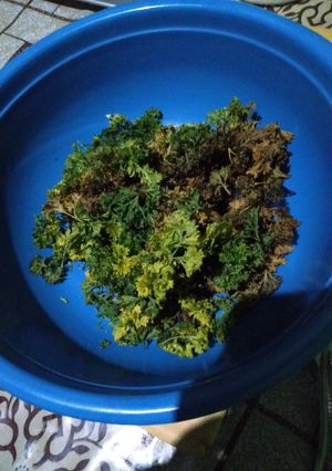 Foto resep Parsley kering oven