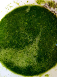 સેન્ડવીચ ની ગ્રીન ચટણી (Sandwich Green Chutney Recipe In Gujarati) રેસીપી મુખ્ય ફોટો