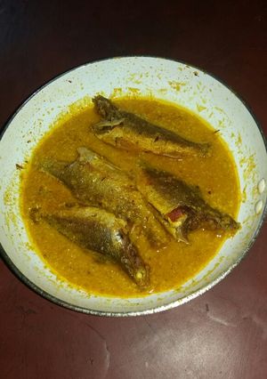 A picture of Bhola bhetki jhaal(bhetki fish curry).