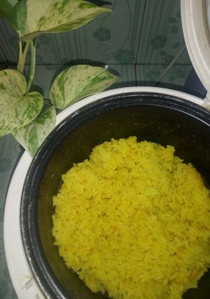 Foto resep Nasi kuning fiber cream