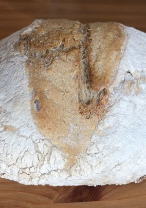 A picture of 3 day Sourdough loaf.