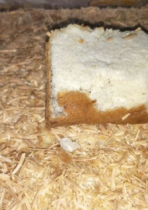 Foto resep Bolu keju ala MSaC(DEBM,KEtO)