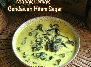 Gambar Masak Lemak Cendawan Hitam Segar