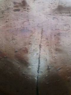 Una foto de Pan de campo con mix de semillas