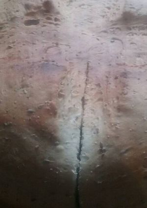 Una foto de Pan de campo con mix de semillas