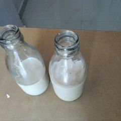 A picture of Cold coffee 😉😉.