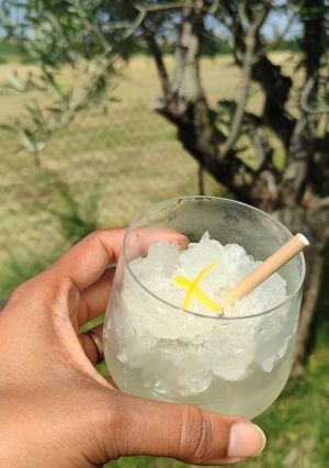 Une photo de Granité ou Granita au citron