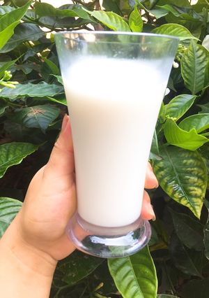 Hình của món Sữa Gạo Hàn Quốc.