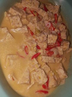 Foto resep Sayur tempe santan