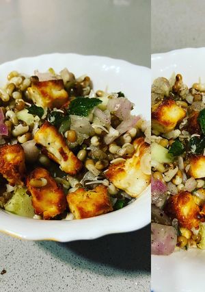 A picture of Sprouts paneer salad.