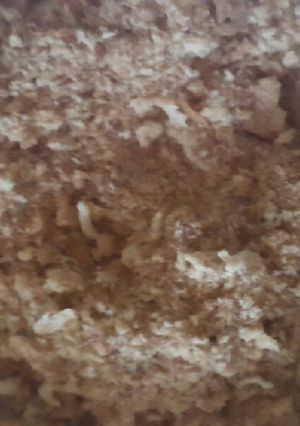 A picture of Home made bread crumbs.