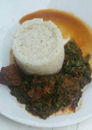 A picture of White rice with spinach stew.